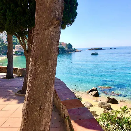 Magnifique En Front De Mer, Caneylles דירה